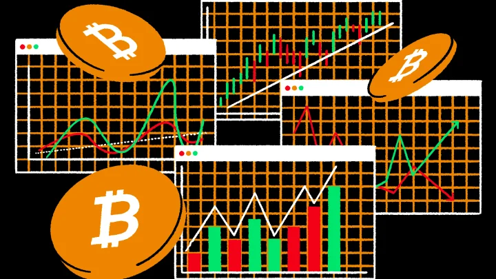 The Bitcoin Price Live Chart: Watching the Market Breathe